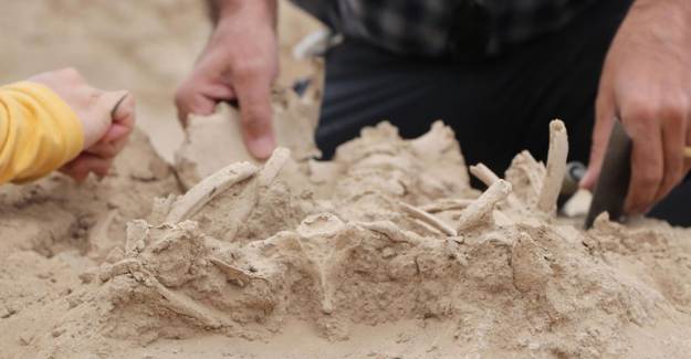 Van'da Mezardan Takılarıyla Birlikte Bebek İskeleti Çıkarıldı