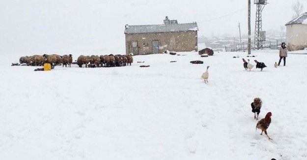 Van'da Nisan Ayında Kar Sürprizi