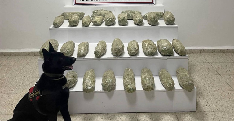 Van'da Uyuşturucu Operasyonu: 21 Kilo Skunk Ele Geçirildi