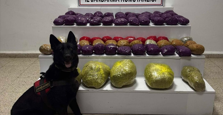 Van'da Uyuşturucu Operasyonu: 31 Kilo 551 Gram Ele Geçirildi