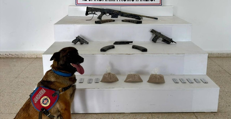 Van'da Uyuşturucu ve Silah Operasyonu