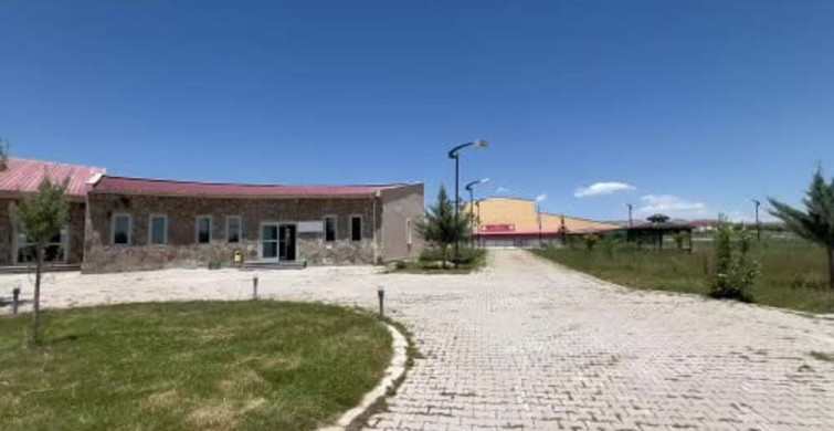 Van'da yaban hayatına şefkat eli: 150 hayvan tedavi edildi