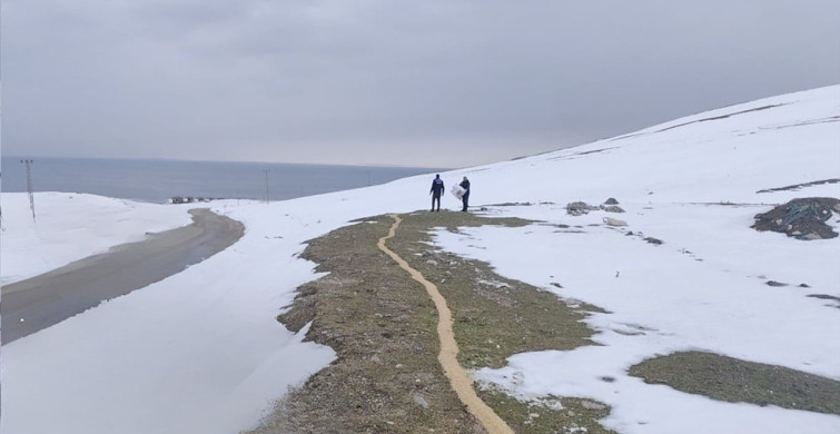 Van'da Yaban Kuşlarına Yardım: 1,5 Ton Buğday Bırakıldı