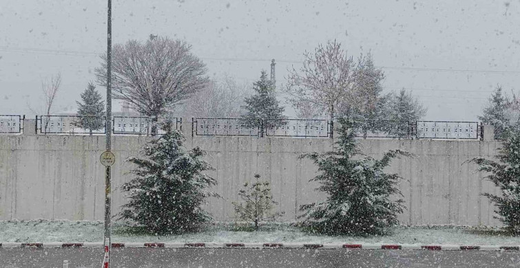 Van’ın Erciş İlçesinde Nisan Yağmurları Yerine Kar Yağdı