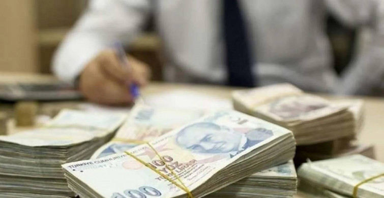 Vatandaşa milyarca lira destek ödemesi: Başvuru detayları belli oldu