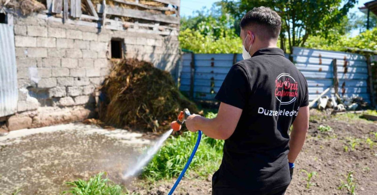 Vatandaşlara Asya Kaplan sivrisineği uyarısı