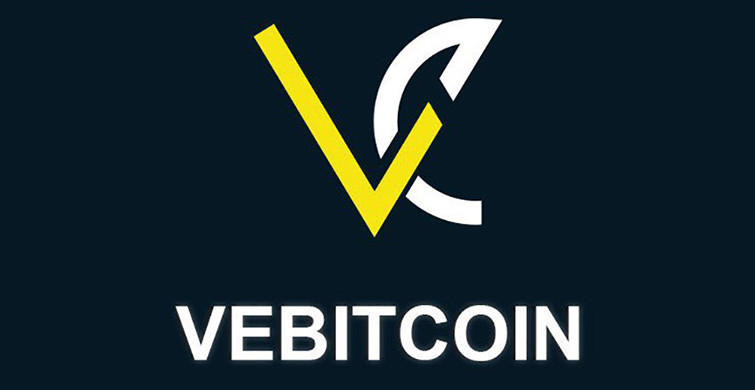Vebitcoin CEO’su Gözaltına Alındı
