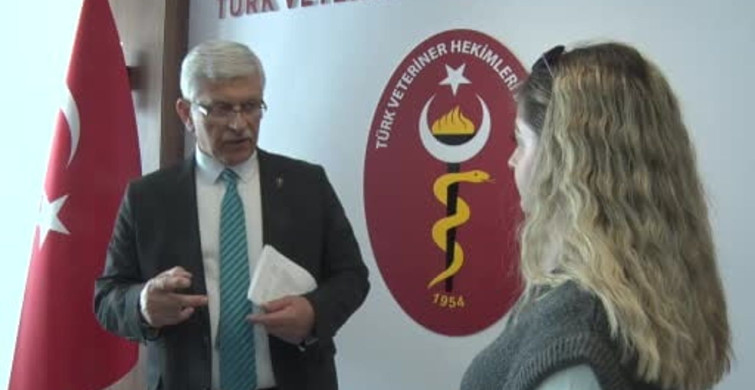 Veteriner Hekimler Birliği'nden Kurbanlık Hayvanlarla İlgili Uyarılar