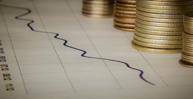 VINU coin nedir? Viral Inu coin projesi ve yol haritası