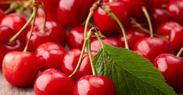 Vişne Sapı Nasıl Kurutulur? Zararı Var mıdır?