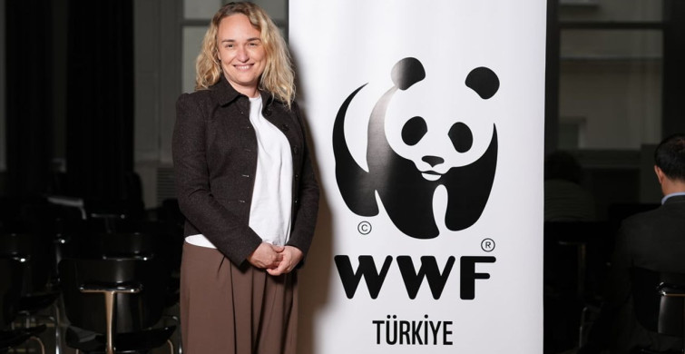 WWF-Türkiye, 2026 İklim Hedeflerine Bilimsel Katkı Sunacak