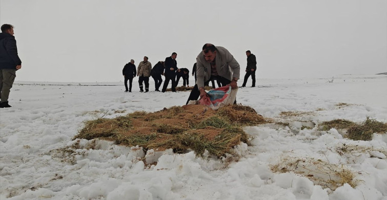 Yaban Hayvanları İçin Doğaya Yem Bırakıldı