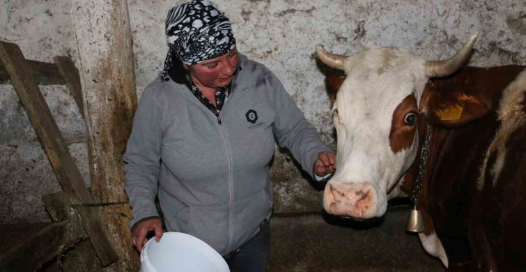 Yabancı Gelin Nino Eroğlu'nun Hayvancılık Serüveni