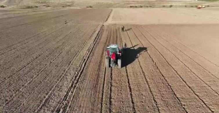 Yağış Miktarları Artarken Rekolte Beklentileri Yükseliyor