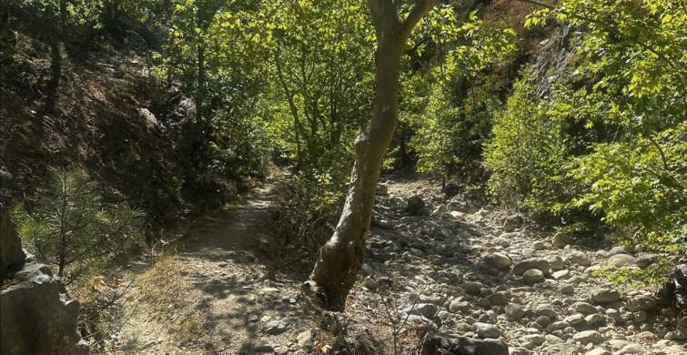 Yaka Kanyonu'nda Kuraklık Tehdidi