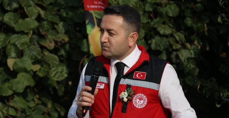 Yalova Kivisinde Hasat Sevinci