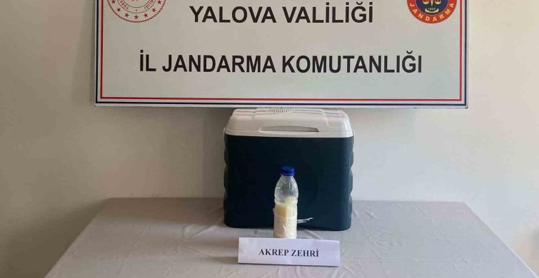 Yalova'da 5 milyon dolarlık akrep zehri ele geçirildi