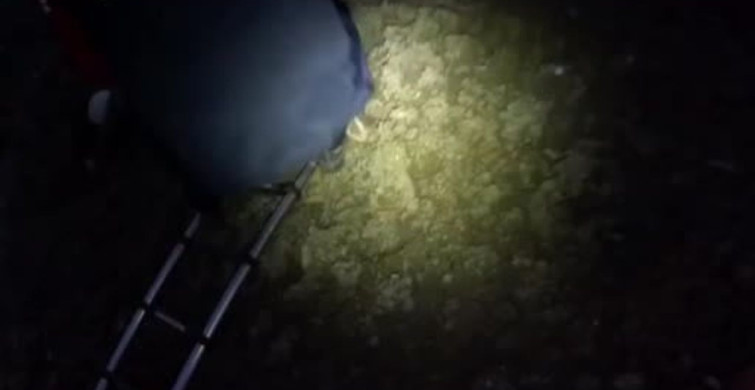 Yalova’da Bataklıkta Mahsur Kalan Vatandaş ve Hayvan Kurtarıldı