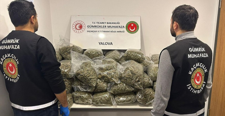 Yalova'da Fransa'dan Gelen Tırda 37 Kilo Esrar Ele Geçirildi