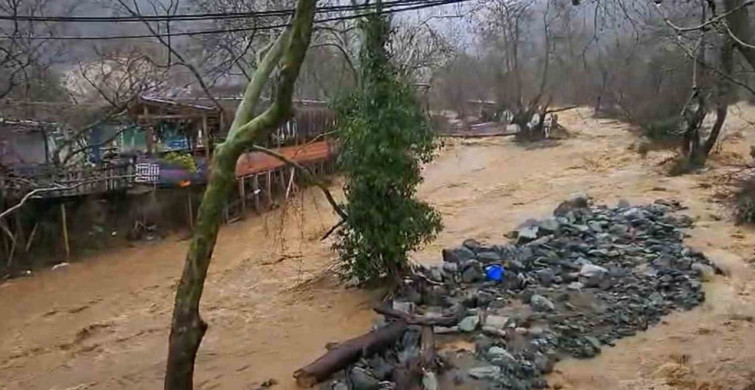 Yalova'da Sel Felaketi: 5 Hayvan Telef Oldu