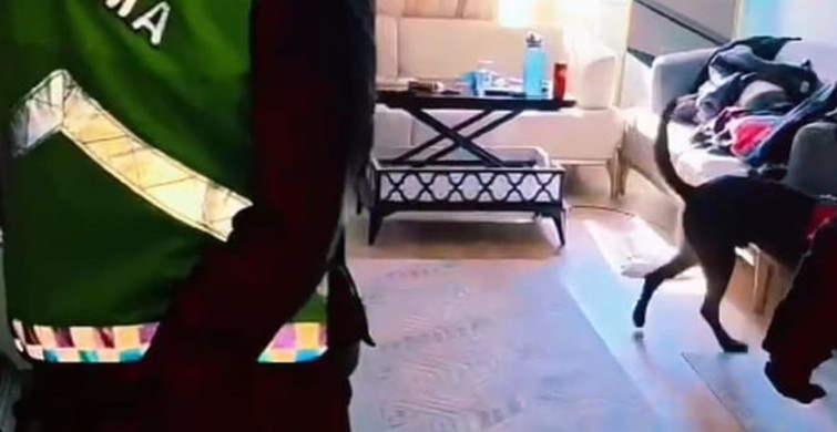 Yalova’da Uyuşturucu Operasyonu: 1 Tutuklama ve Uyuşturucu Ele Geçirildi