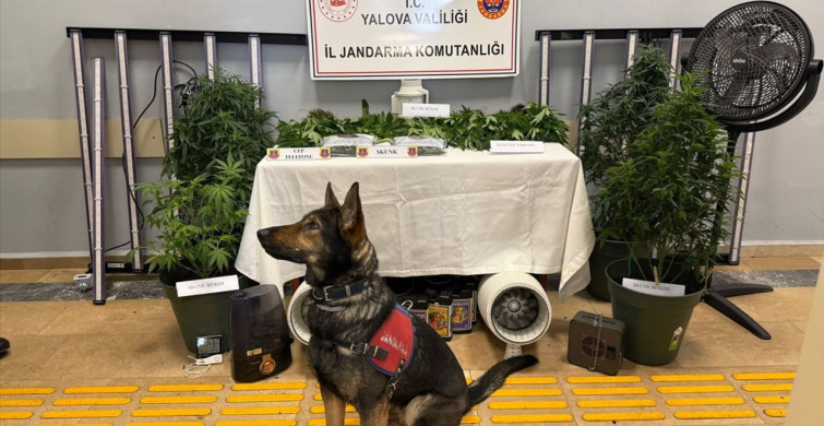 Yalova'da Uyuşturucu Operasyonu: İki Şüpheli Tutuklandı