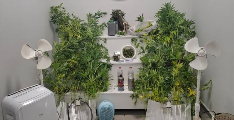 Yalova'da Uyuşturucu Üreten Hükümlü Yakalandı