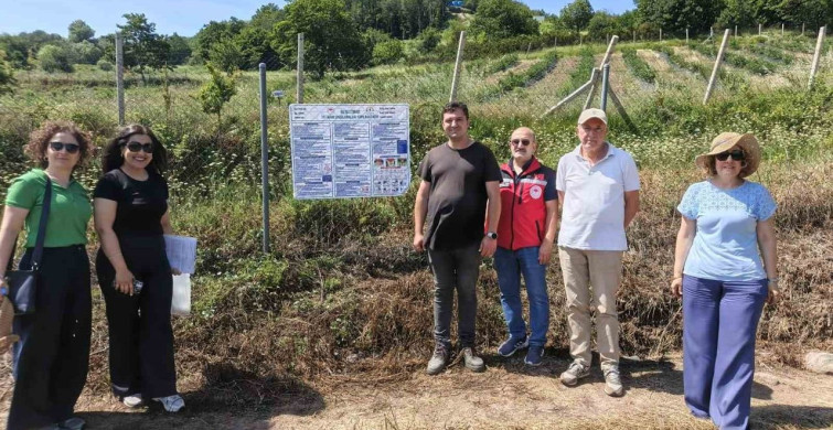 Yalova'da yaban mersininde iyi tarım uygulamaları denetleniyor