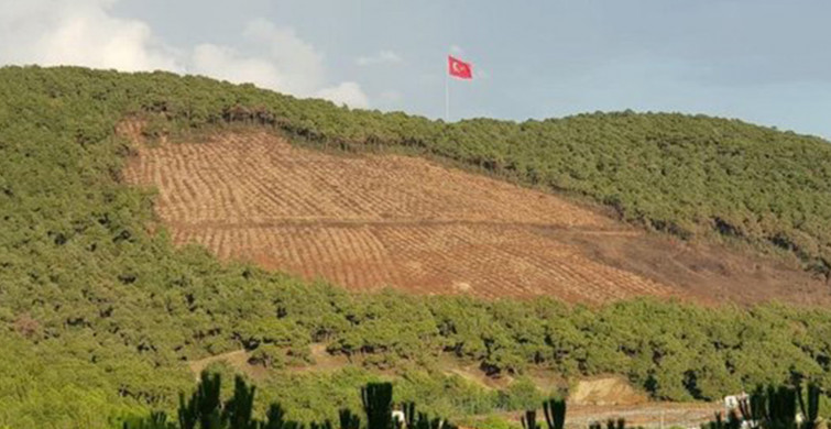 'Yanan Ormanların Yerine Otel Yapılıyor' Yalanı Patladı! 5 Milyondan Fazla Ağaç Dikildi