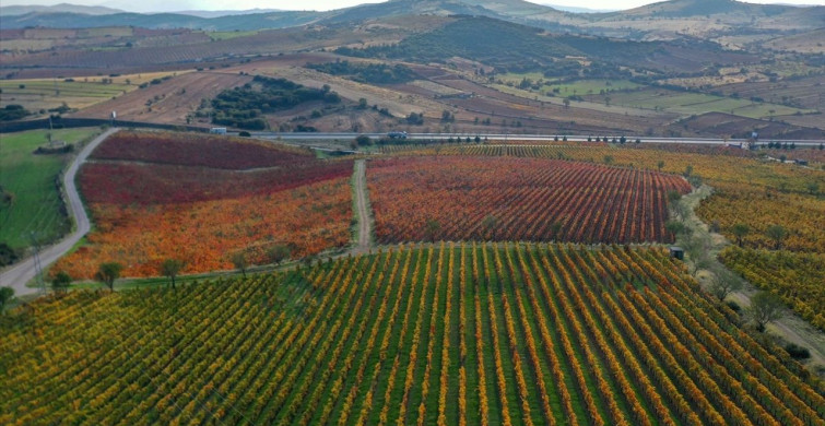Yanık Ülke'de Sonbahar Hues: Görsel Şölen