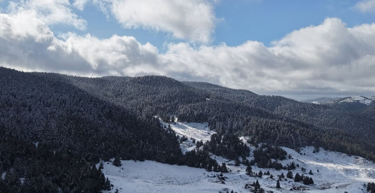 Yapraklı Yaylası'nda Büyüleyici Kar Manzarası