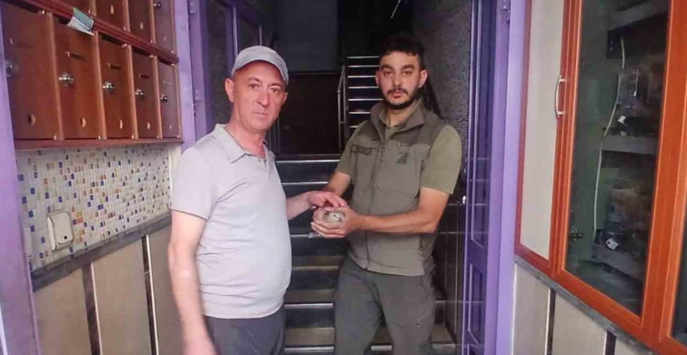 Yaralı kumruyu şırıngayla besleyerek kurtaran adamın hikayesi