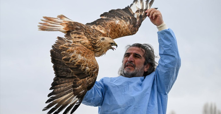 Yaralı Kuşlar Van'da Hayata Tutunuyor