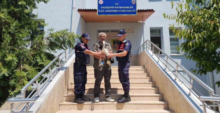 Yaralı leylek Yozgat'ta tedavi altına alındı