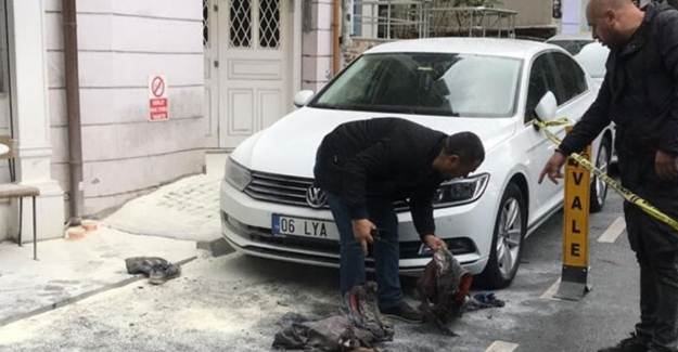 Yaralılar Var!