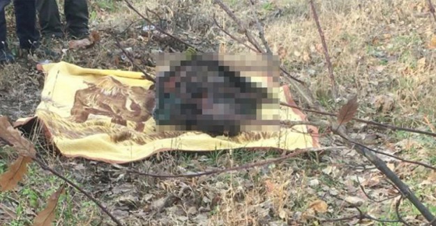 Yaşlı Kadından 29 Gün Sonra Acı Haber Geldi
