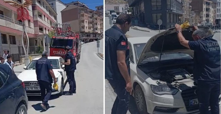 Yavru kedi itfaiye ekipleri tarafından araca sıkıştığı yerden kurtarıldı