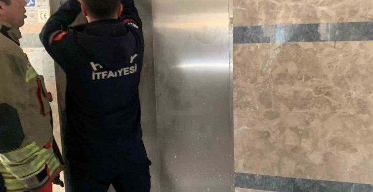 Yavru Kedinin Kurtuluşu: İtfaiye Ekiplerinin Başarısı