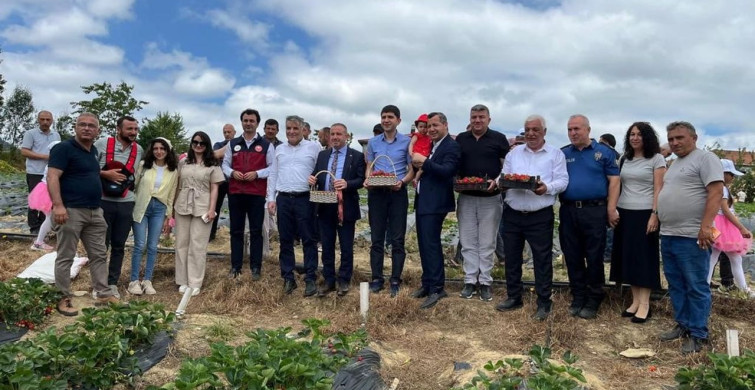 Yayla çileği aromasıyla öne çıkıyor