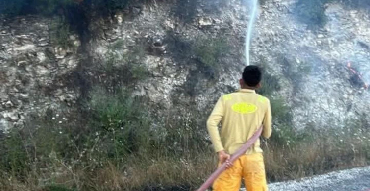 Yayladağı’nda ormanlık alanda çıkan yangın kontrol altına alındı
