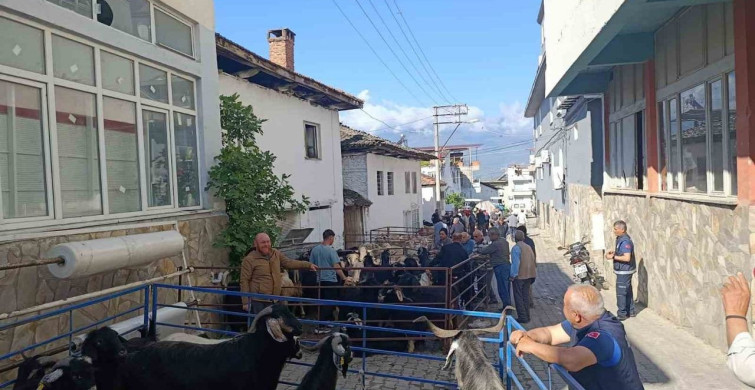 Yazıkent Mahallesi'nde Kurban Pazarı Canlanıyor