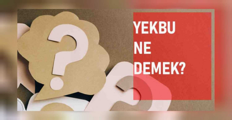 Yekbu nedir, ne demek? TDK anlamı ile yekbu ve kullanımı