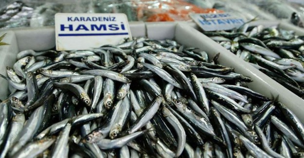 Yeni Yılda Hamsi Bereketi Fiyatları Düşürdü