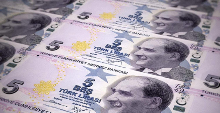 Yeni 5 TL'lik banknotlar nasıl olacak? Yeni 5 TL banknot resmi