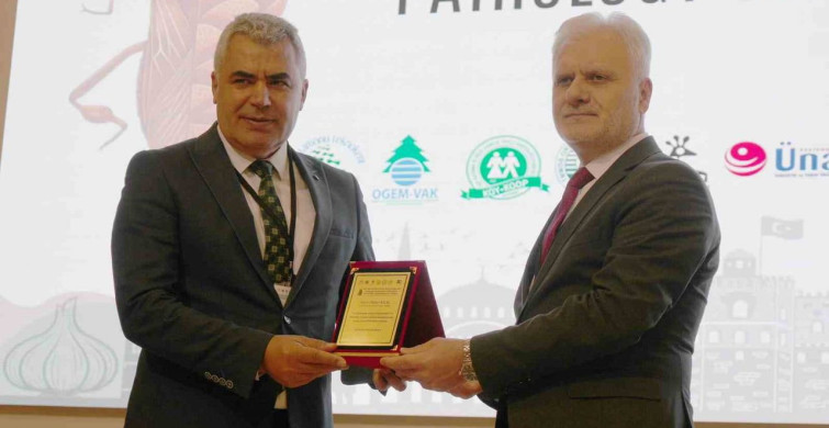 Yeni Dönem: Yapay Zeka ile Ormancılıkta Devrim