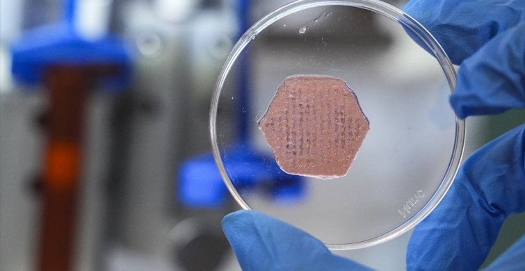 Yeni Nesil Yara Örtüsü İzmir'den Umut Oluyor