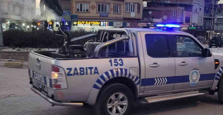 Yenipazar'da Sivrisinek ve Haşere İlaçlama Seferberliği