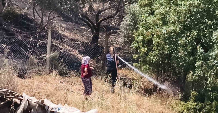Yenipazar'daki Makilik Yangını Kontrol Altına Alındı