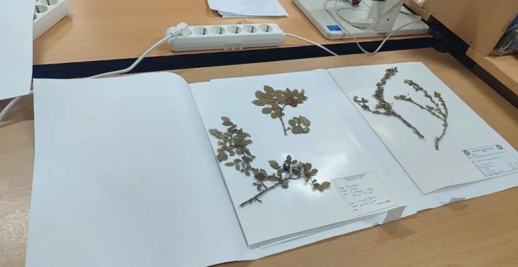 Yenipazarlı Öğrenciler Doğayı Bilimle Keşfetti