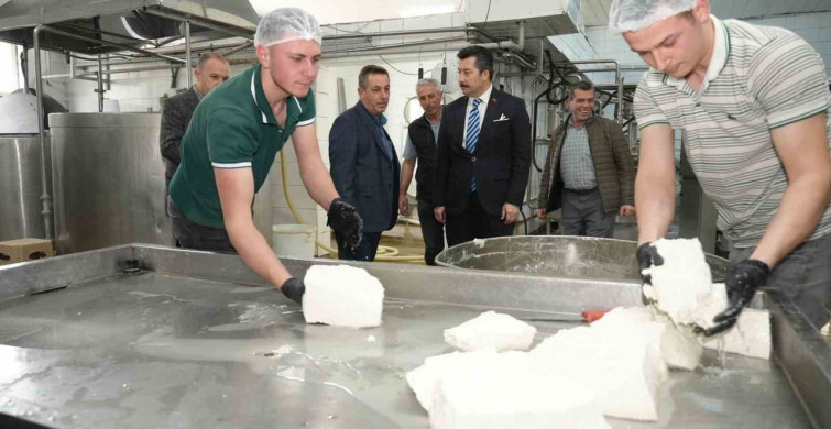 Yenişehir'de Süt ve Peynir Üretiminde Örnek Kooperatif